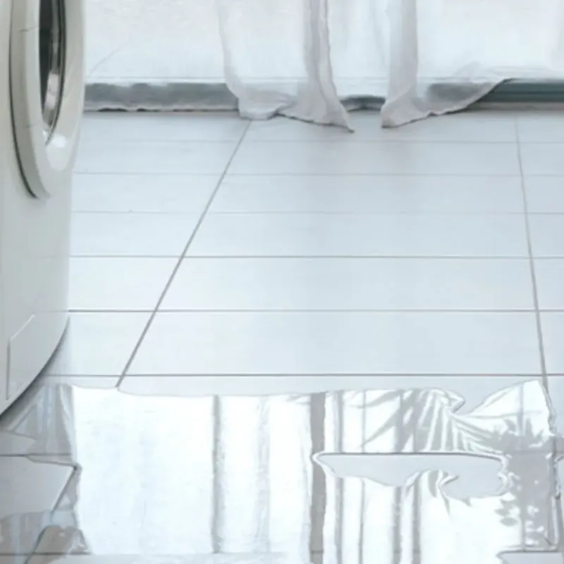 Appliance Leak Cleanup in Rocky Mount, NC