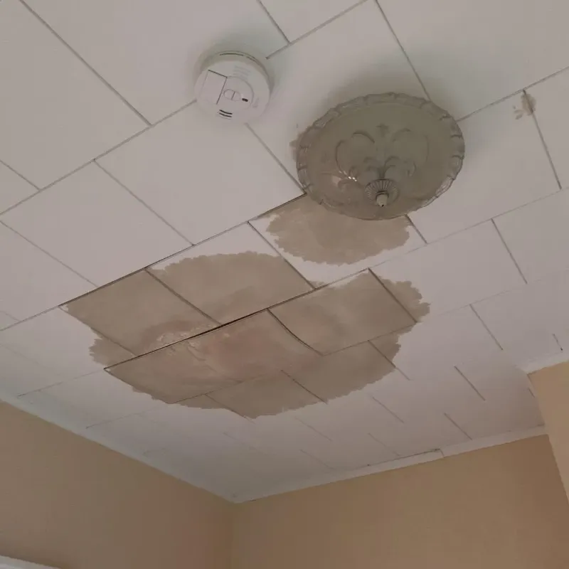 Ceiling Water Damage Repair in Rocky Mount, NC