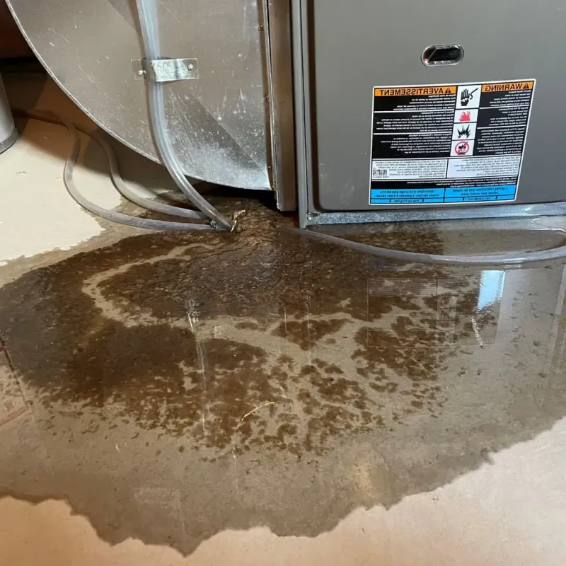Pipe Burst and Leak Restoration in Rocky Mount, NC