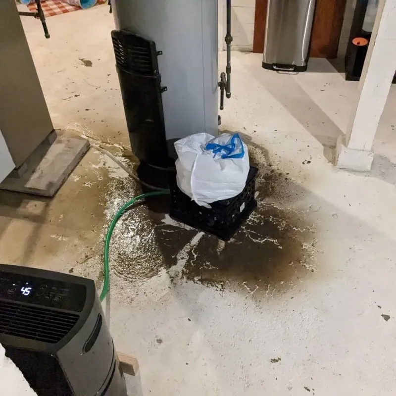 Sewage Backup Cleanup Service in Rocky Mount, NC